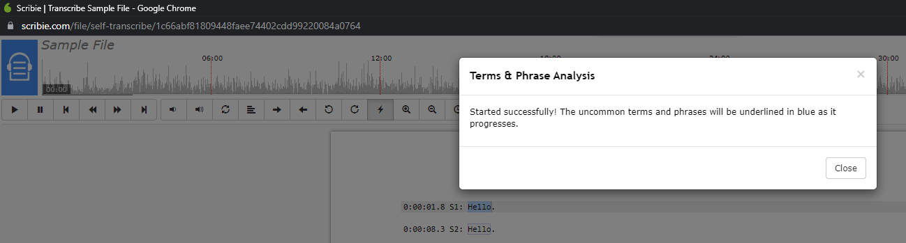 Terms & Phrases Analysis