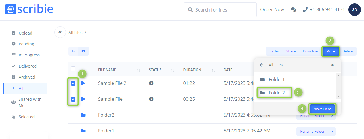 Move Files to Folders Steps